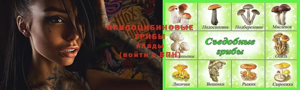 крисы Баксан