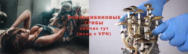 дурь Балахна