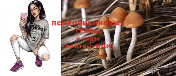 крисы Баксан