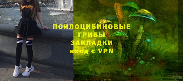 дурь Балахна