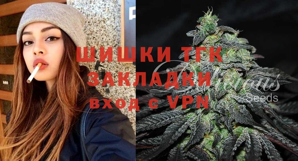 крисы Баксан